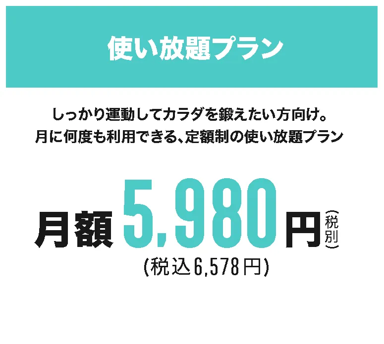 VERUS料金プラン 使い放題プラン