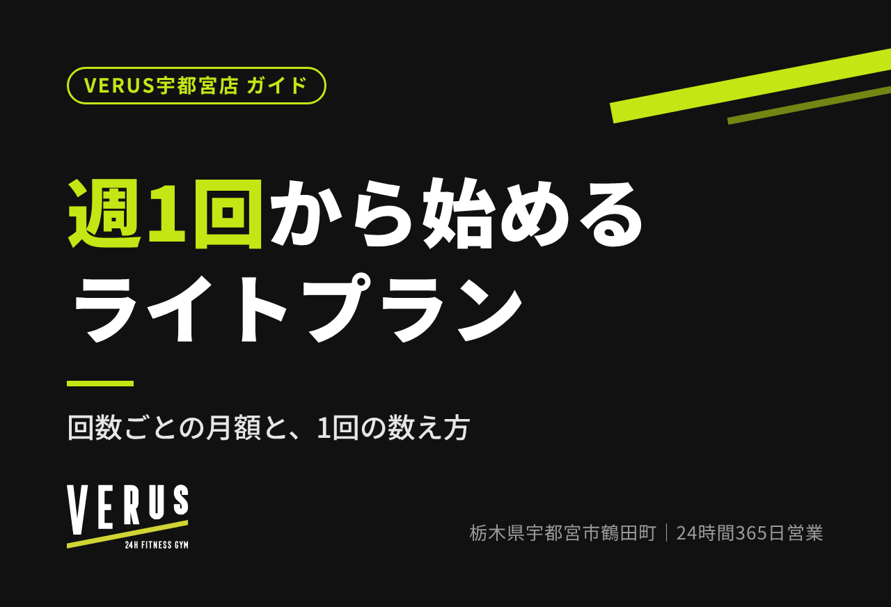 週1回から始めるライトプラン｜回数別の月額と使い方